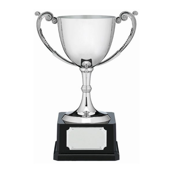 nickel plated presentation engraved cup
